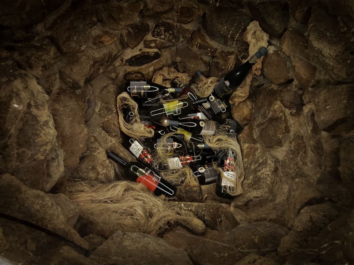 Víno trochu inak Vol.2 - galéria 2