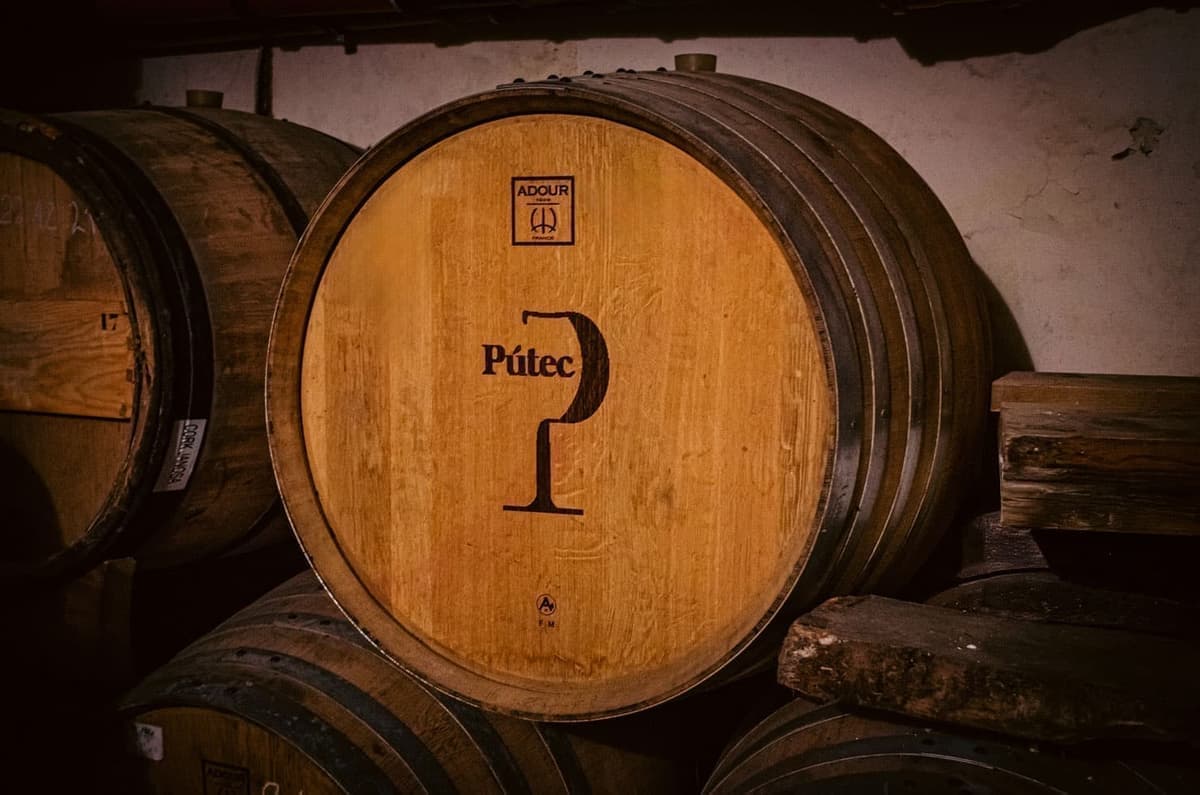 Víno trochu inak - galéria 3