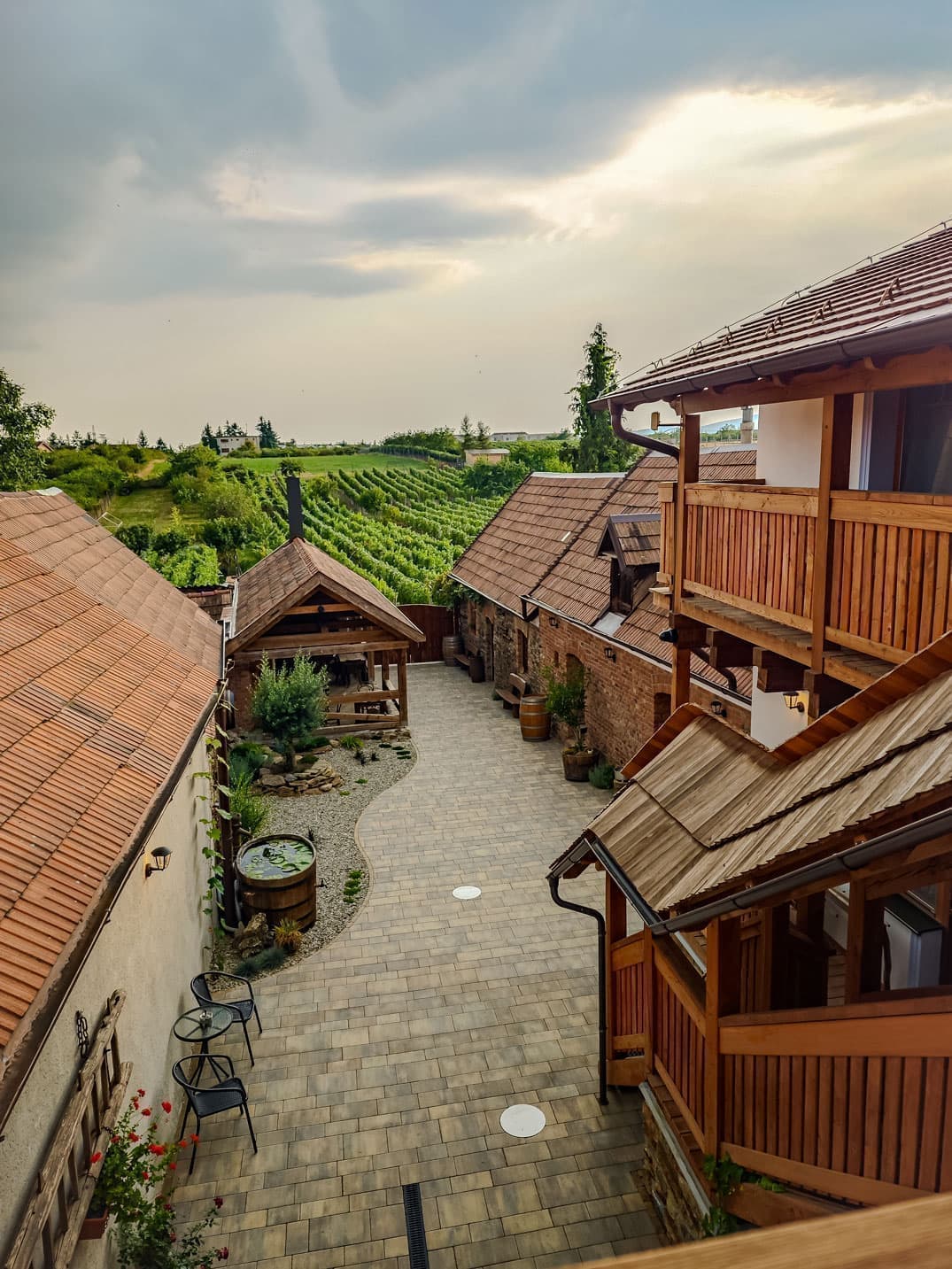 Výhľad na vinohrad